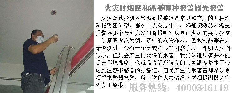 ���̽�y��